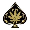 Ace Ultra Premium Logo